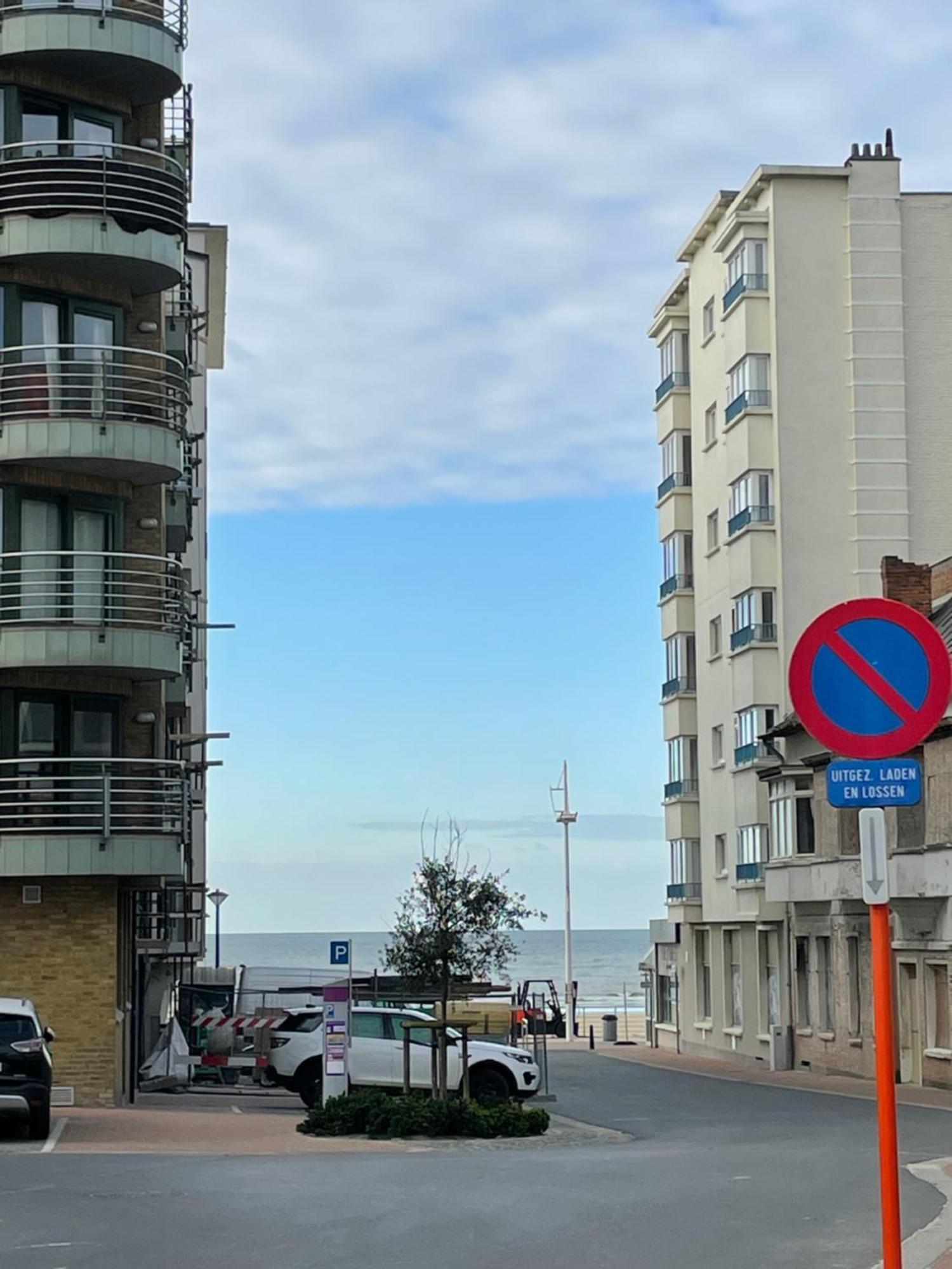 Zonnige Studio Mermoz Koksijde-Bad Kültér fotó